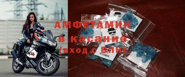 шишки Новозыбков