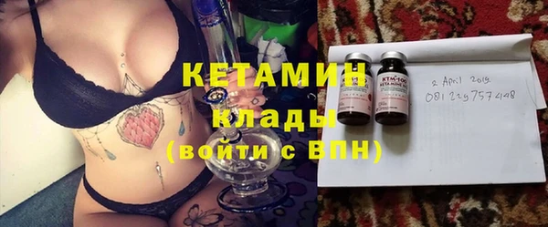 шишки Новозыбков