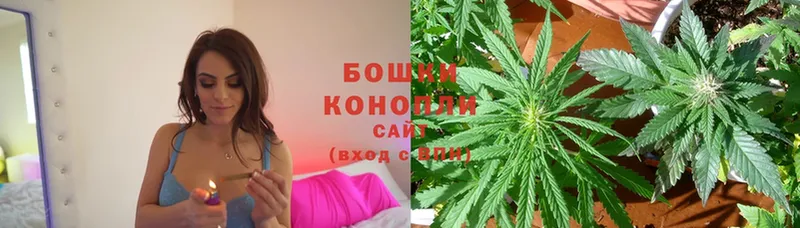 Шишки марихуана THC 21%  наркота  Покровск 